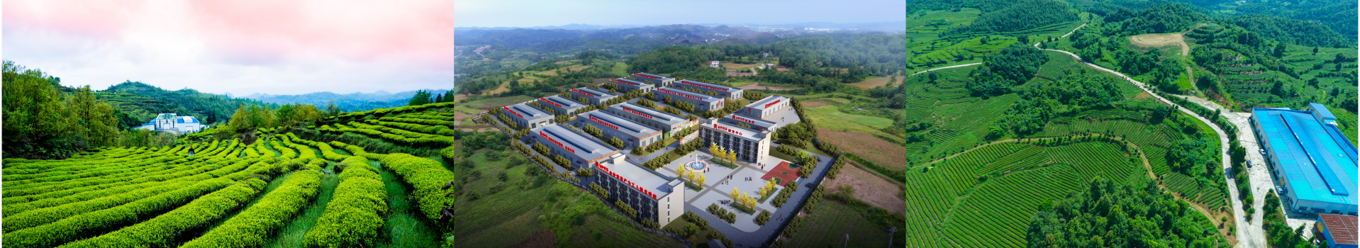 微信截圖_20221101183720 微信截圖_20221101183720