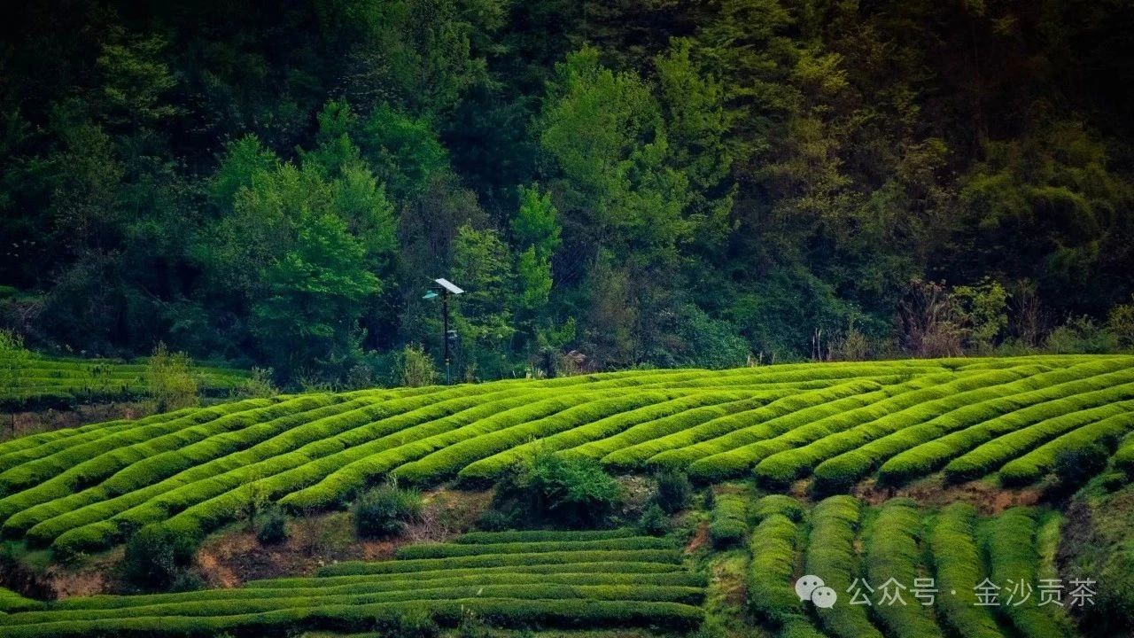 02114aeba86200dcc5ae06dc10462e2e.jpg 02114aeba86200dcc5ae06dc10462e2e.jpg